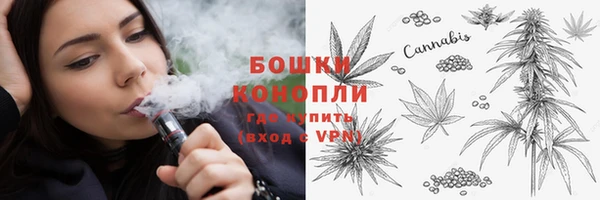 мдпв Богородицк
