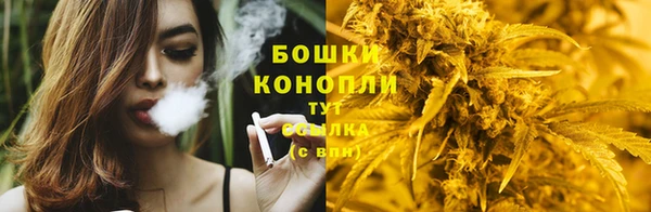 мдпв Богородицк