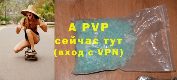 мескалин Богданович