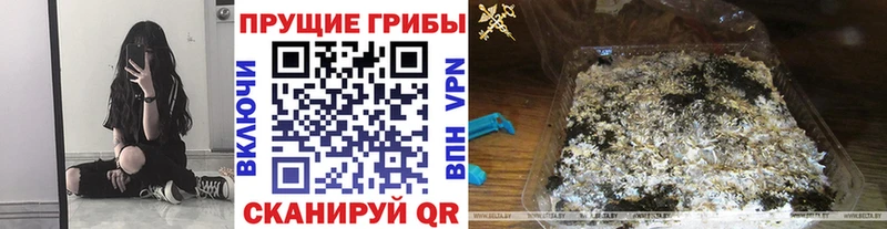 купить  сайты  Петропавловск-Камчатский  Галлюциногенные грибы мицелий 